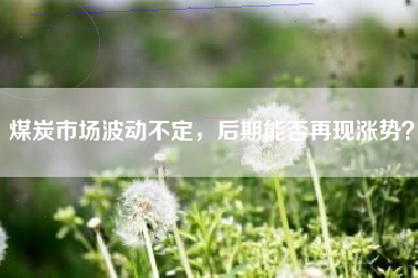 煤炭市场波动不定，后期能否再现涨势？