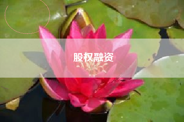 股权融资