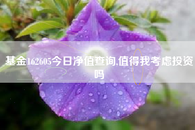 基金162605今日净值查询,值得我考虑投资吗