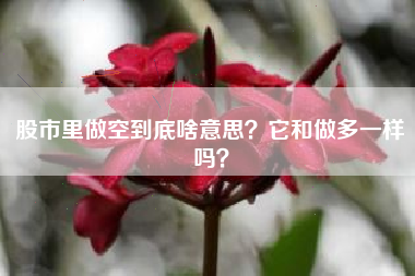股市里做空到底啥意思？它和做多一样吗？