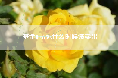基金005730,什么时候该卖出