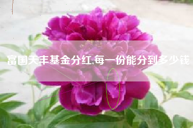 富国天丰基金分红,每一份能分到多少钱