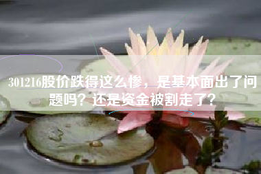 301216股价跌得这么惨，是基本面出了问题吗？还是资金被割走了？
