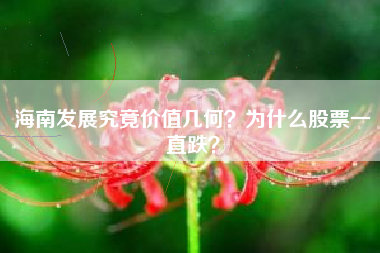 海南发展究竟价值几何？为什么股票一直跌？
