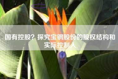 国有控股？探究宝钢股份的股权结构和实际控制人