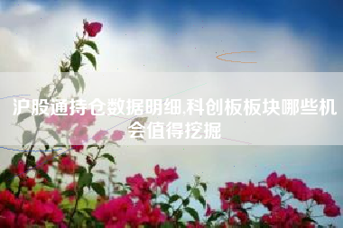 沪股通持仓数据明细,科创板板块哪些机会值得挖掘