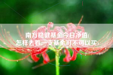 南方稳健基金今日净值(
怎样去看一支基金可不可以买)