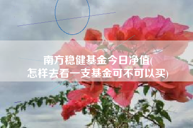 南方稳健基金今日净值(
怎样去看一支基金可不可以买)
