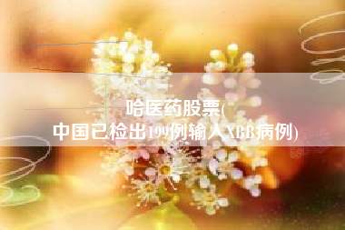 哈医药股票(
中国已检出199例输入XBB病例)