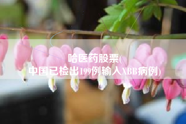 哈医药股票(
中国已检出199例输入XBB病例)