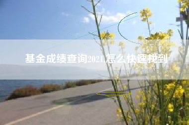 基金成绩查询2021,怎么快速找到