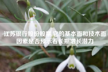 江苏银行股份股票,它的基本面和技术面因素是否预示着长期增长潜力