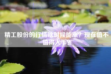精工股份的行情啥时候能涨？现在值不值得入手？