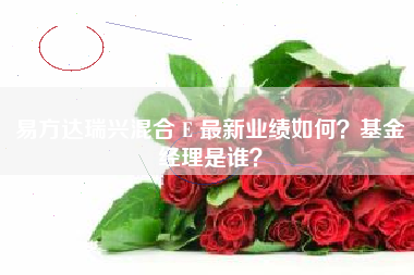 易方达瑞兴混合 E 最新业绩如何？基金经理是谁？