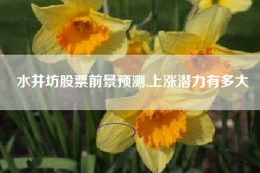 水井坊股票前景预测,上涨潜力有多大