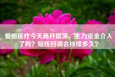 爱朋医疗今天高开震荡，主力资金介入了吗？短线回调会持续多久？