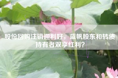 股份回购注销迎利好，蓝帆股东和转债持有者双享红利？