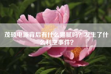 茂硕电源背后有什么猫腻吗？发生了什么利空事件？