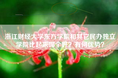 浙江财经大学东方学院和其它民办独立学院比起来哪个好？有何优势？