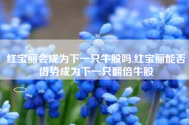 红宝丽会成为下一只牛股吗,红宝丽能否借势成为下一只翻倍牛股