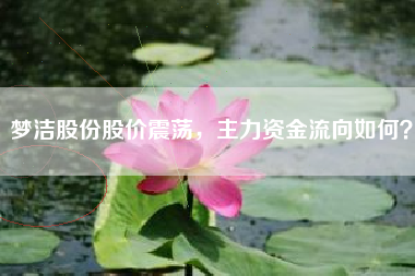 梦洁股份股价震荡，主力资金流向如何？