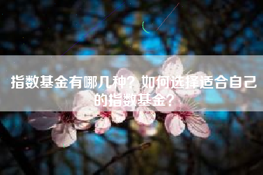 指数基金有哪几种？如何选择适合自己的指数基金？