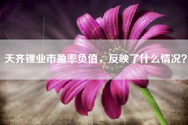 天齐锂业市盈率负值，反映了什么情况？
