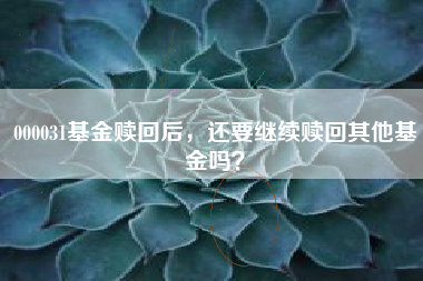 000031基金赎回后，还要继续赎回其他基金吗？