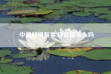 中鼎股份股票,现在能买入吗