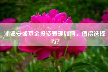 浦银安盛基金投资表现如何，值得选择吗？