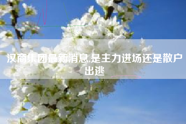 汉商集团最新消息,是主力进场还是散户出逃