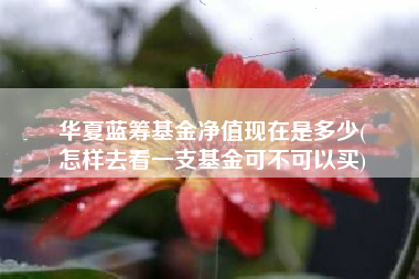 华夏蓝筹基金净值现在是多少(
怎样去看一支基金可不可以买)