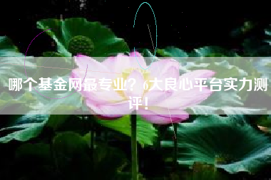 哪个基金网最专业？6大良心平台实力测评！