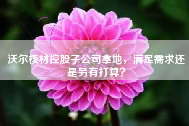 沃尔核材控股子公司拿地，满足需求还是另有打算？
