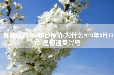 复星医药2023年目标价(为什么2023年8月13G34是普通复兴号
) 复星医药2023年目标价(为什么2023年8月13G34是普通复兴号
)