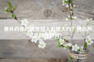 赛升药业的研发投入力度大吗？创新产品前景如何？