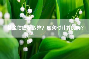 基金估值怎么算？是实时计算的吗？