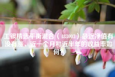 工银精选平衡混合（483003）最近净值有没有涨，近一个月和近半年的收益率如何？