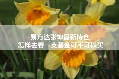 易方达张坤最新持仓,
怎样去看一支基金可不可以买