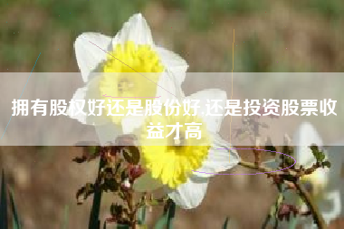 拥有股权好还是股份好,还是投资股票收益才高