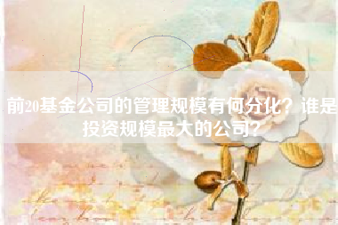 前20基金公司的管理规模有何分化？谁是投资规模最大的公司？