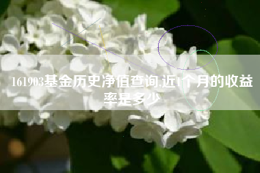 161903基金历史净值查询,近1个月的收益率是多少