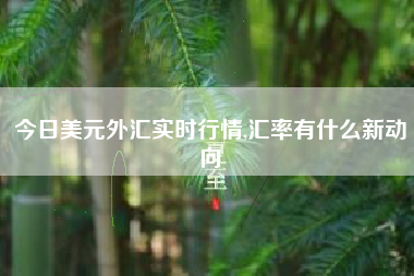 今日美元外汇实时行情,汇率有什么新动向