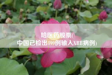 哈医药股票(
中国已检出199例输入XBB病例)