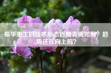 振华重工的技术形态近期表现如何？趋势还在向上吗？
