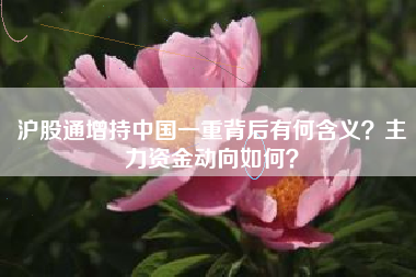 沪股通增持中国一重背后有何含义？主力资金动向如何？