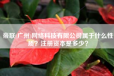 帝联(广州)网络科技有限公司属于什么性质？注册资本是多少？