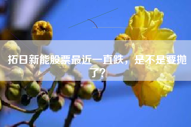 拓日新能股票最近一直跌，是不是要抛了？