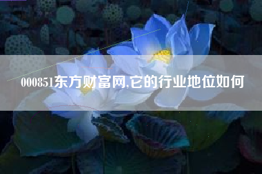 000851东方财富网,它的行业地位如何