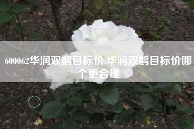 600062华润双鹤目标价,华润双鹤目标价哪个更合理